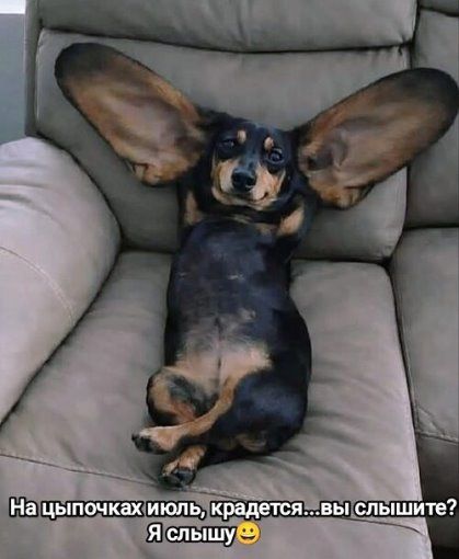 На цыпочках июль, крадется... вы слышите? Я слышу 😉