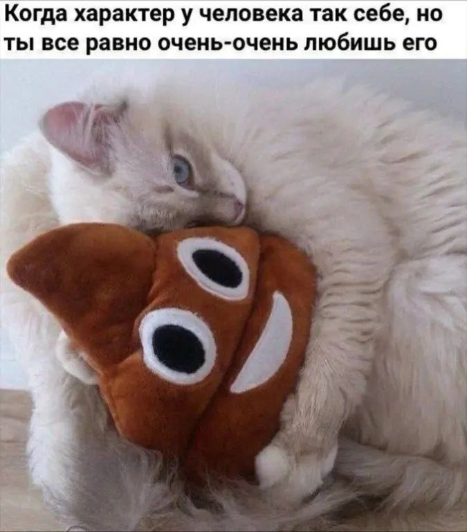 Когда характер у человека так себе, но ты все равно очень-очень любишь его