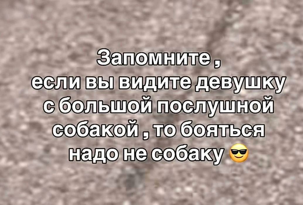 Запомните, если вы видите девушку с большой послушной собакой, то бояться надо не собаку 😎