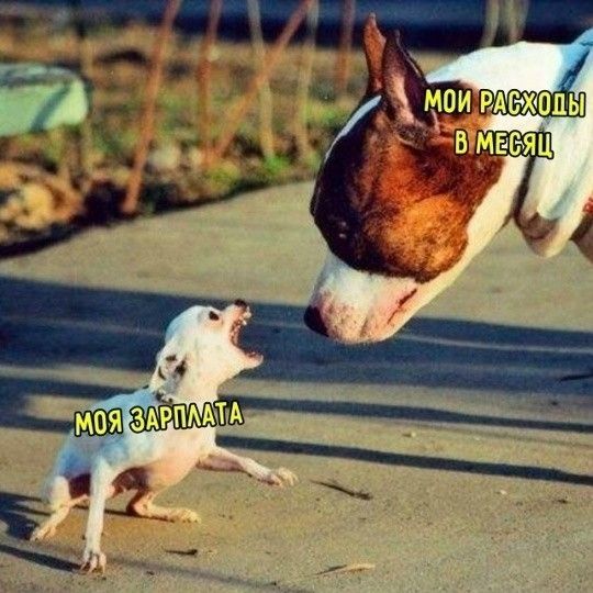 МОИ РАСХОДЫ В МЕСЯЦ МОЯ ЗАРПЛАТА