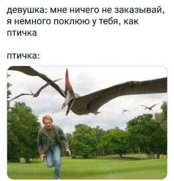 девушка: мне ничего не заказывай, я немного поклюю у тебя, как птичка птичка: