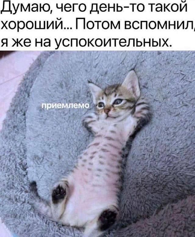 Думаю, чего день-то такой хороший... Потом вспомнил, я же на успокоительных. приемлемо