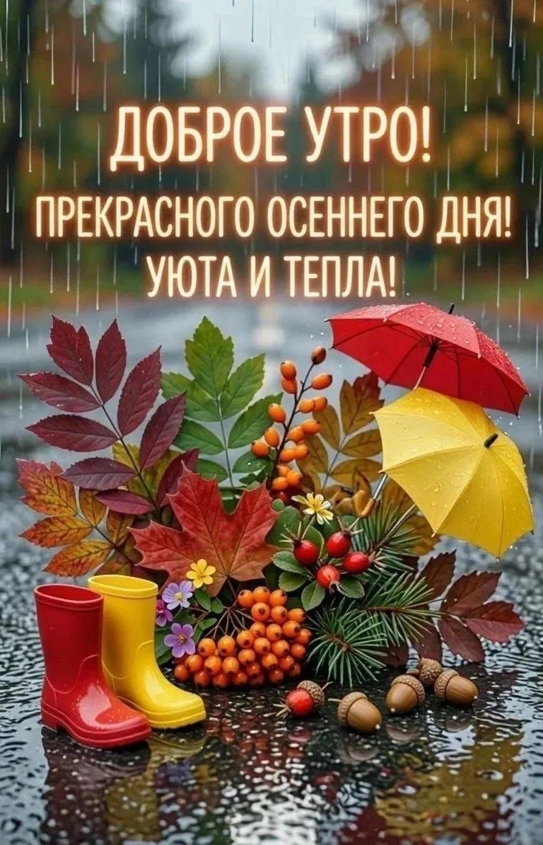 ДОБРОЕ УТРО! ПРЕКРАСНОГО ОСЕННЕГО ДНЯ! УЮТА И ТЕПЛА!