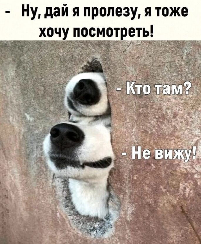 Ну, дай я пролезу, я тоже хочу посмотреть! Кто там? Не вижу!