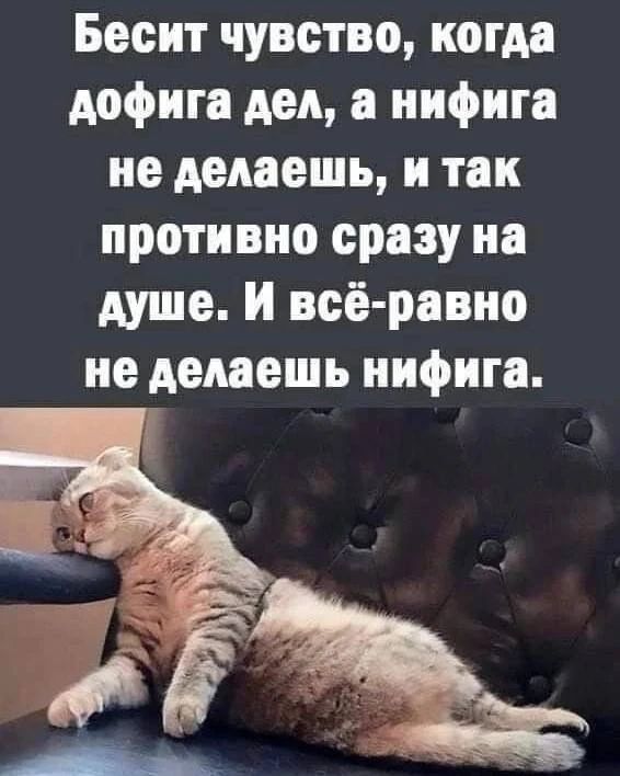 Бесит чувство, когда дофига дел, а нифига не делаешь, и так противно сразу на душе. И всё-равно не делаешь нифига.