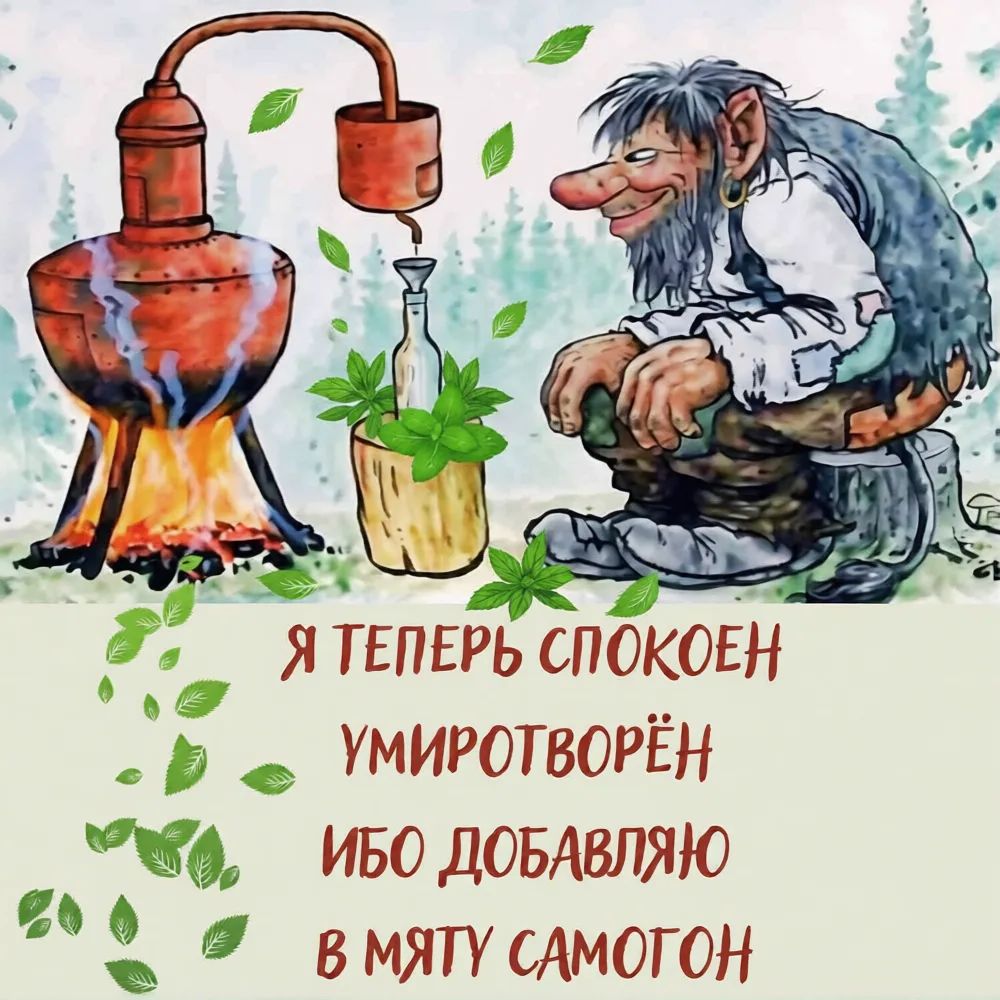Я ТЕПЕРЬ СПОКОЕН УМИРОТВОРЁН ИБО ДОБАВЛЯЮ В МЯТУ САМОГОН