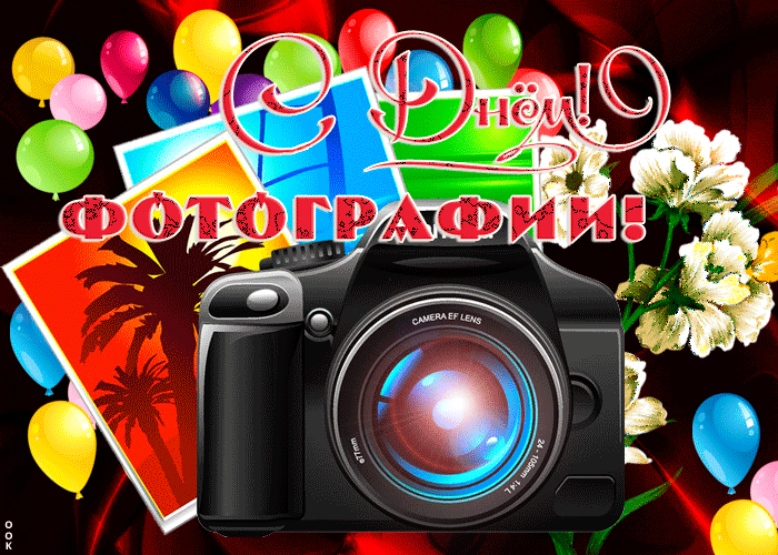 С Днём фотографии!
