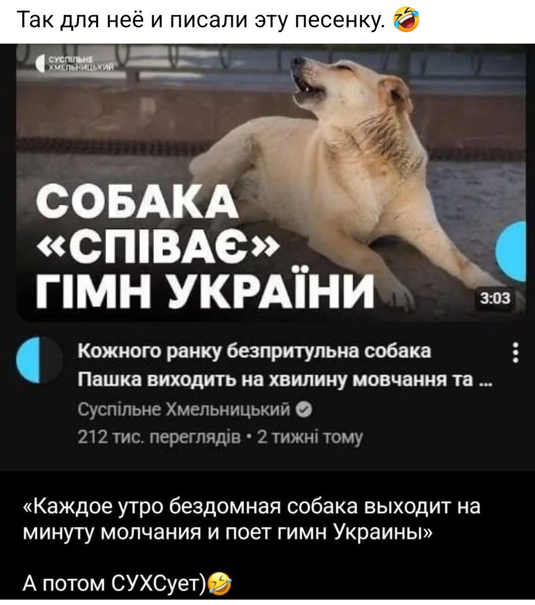 Так для неё и писали эту песенку. СОБАКА «СПІВАЄ» ГІМН УКРАЇНИ. Кожного ранку безпритульна собака Пашка виходить на хвилину мовчання та ... «Каждое утро бездомная собака выходит на минуту молчания и поет гимн Украины» А потом СУХСует) 😂