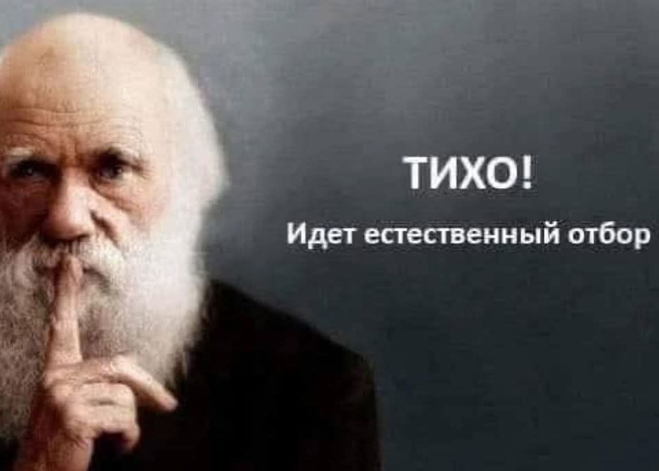 ТИХО! Идет естественный отбор