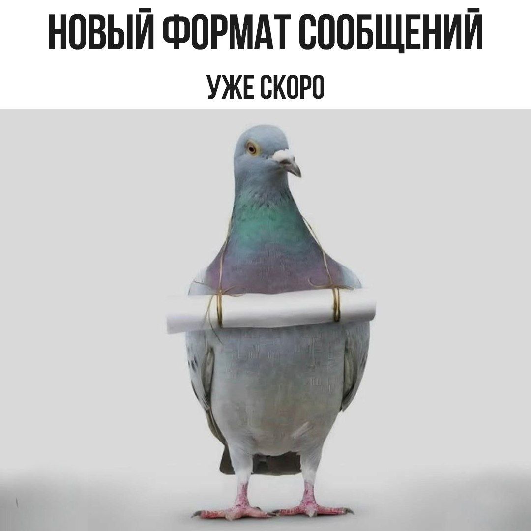 НОВЫЙ ФОРМАТ СООБЩЕНИЙ УЖЕ СКОРО