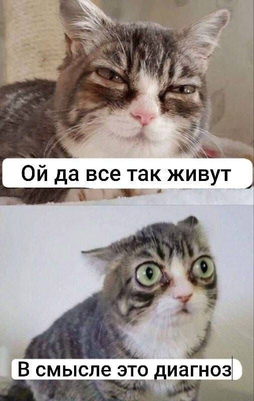 Ой да все так живут
В смысле это диагноз
