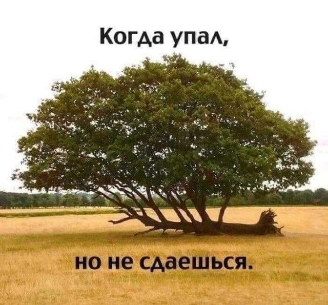 Когда упал, но не сдаешься.