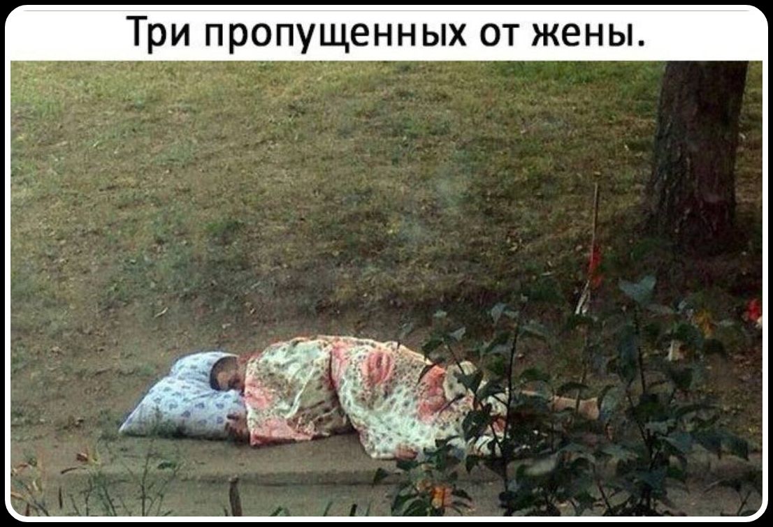 Три пропущенных от жены.
