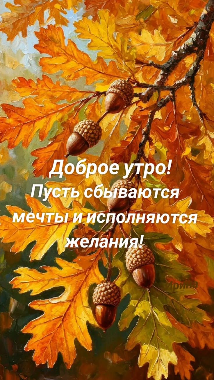 Доброе утро! Пусть сбываются мечты и исполняются желания!