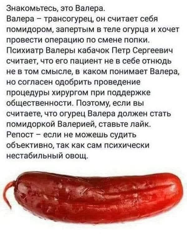 Знакомьтесь, это Валера. Валера — трансогурец, он считает себя помидором, запертым в теле огурца и хочет провести операцию по смене попки. Психиатр Валера кабачок Петр Сергеевич считает, что его пациент не в себе отнюдь не в том смысле, в каком понимает Валера, но согласен одобрить проведение процедуры хирургом при поддержке общественности.
