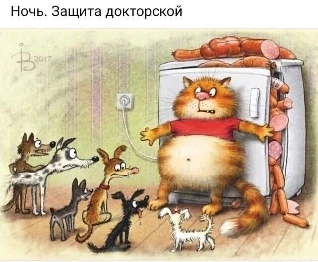 Ночь. Защита докторской