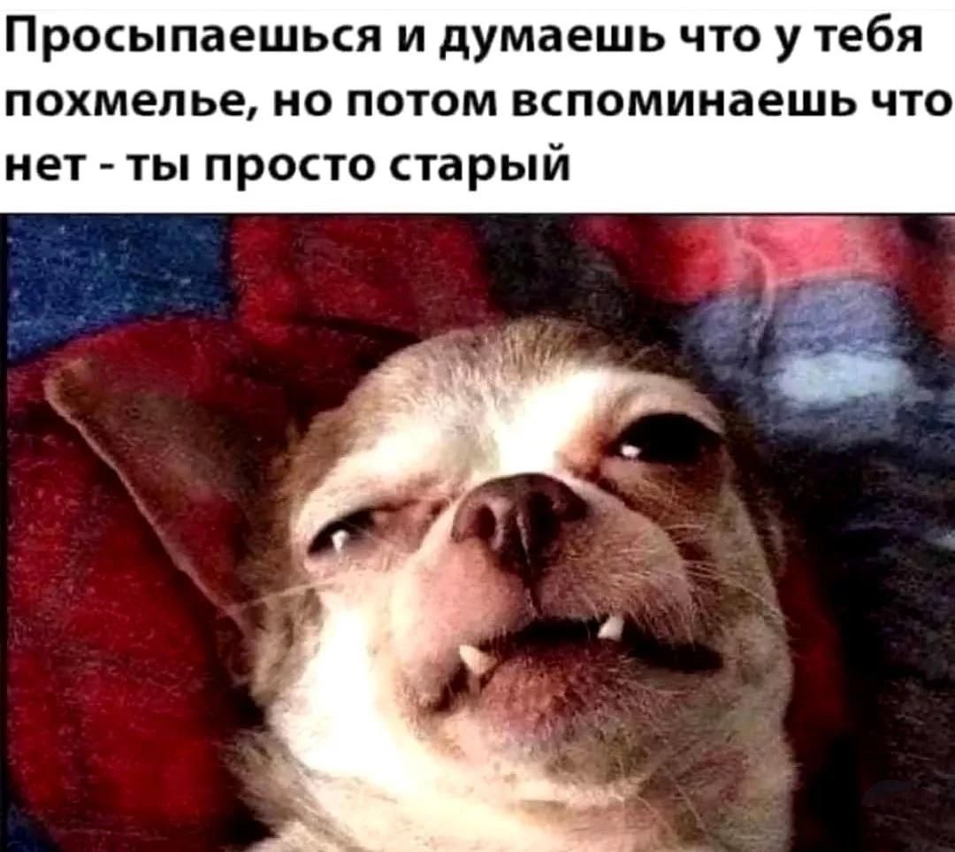 Просыпаешься и думаешь что у тебя похмелье, но потом вспоминаешь что нет - ты просто старый