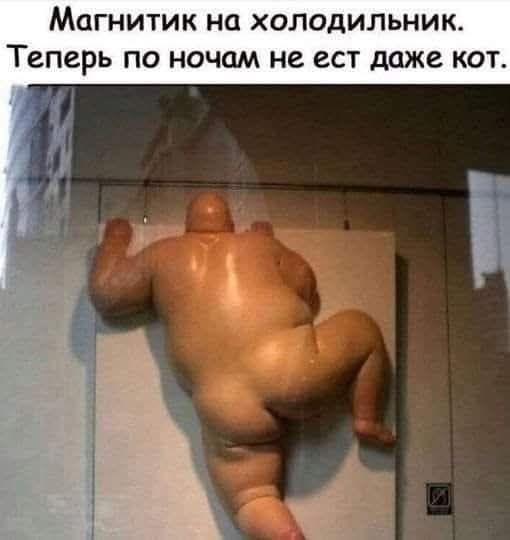 Магнитик на холодильник. Теперь по ночам не ест даже кот.