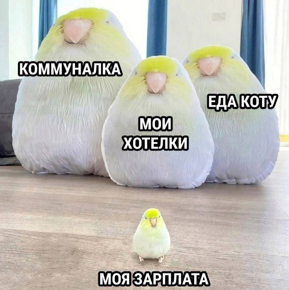 КОММУНАЛКА МОИ ХОТЕЛКИ ЕДА КОТУ МОЯ ЗАРПЛАТА