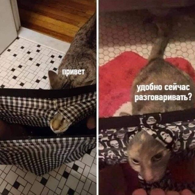 привет удобно сейчас разговаривать?