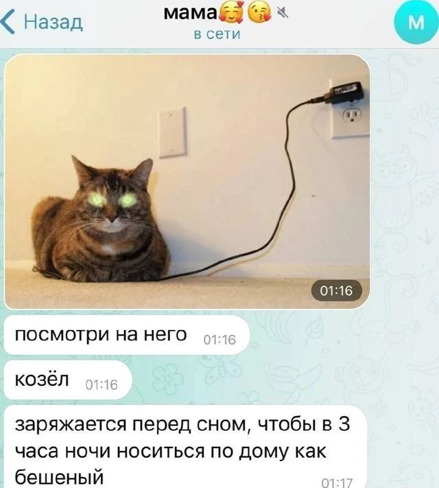 мама в сети. посмотри на него. козёл. заряжается перед сном, чтобы в 3 часа ночи носиться по дому как бешеный