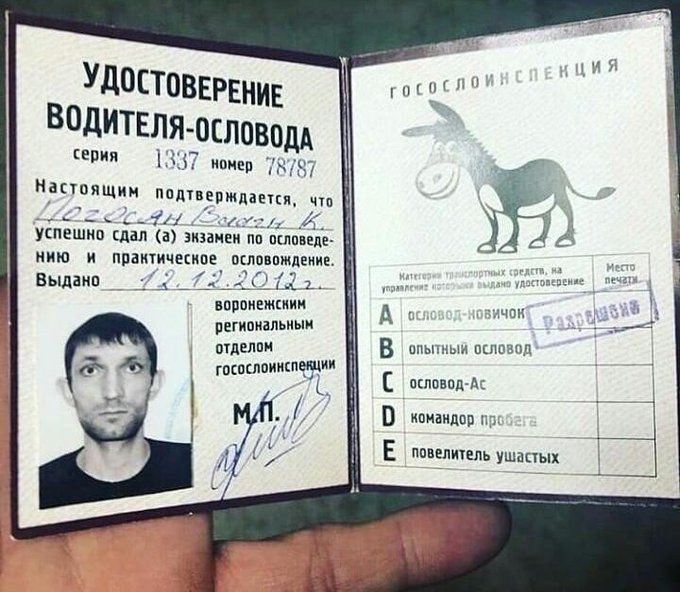 УДОСТОВЕРЕНИЕ ВОДИТЕЛЯ-ОСЛОВОДА серия 1337 номер 78787 Настоящим подтверждается, что Погосян Вазген К. успешно сдал(а) экзамен по ословедению и практическое ословодство. Выдано 12.12.2012. воронежским региональным отделом госослоинспекции. ГОСОСЛОИНСПЕКЦИЯ Категории транспортных средств, на управление которыми выдано удостоверение: А