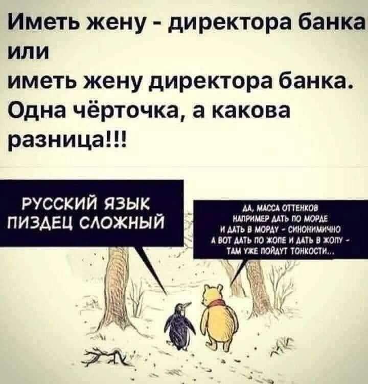 Иметь жену - директора банка или иметь жену директора банка. Одна чёрточка, а какова разница!!! РУССКИЙ ЯЗЫК ПИЗДЕЦ СЛОЖНЫЙ. Да, масса оттенков например дать по морде и дать в морду - синонимично а вот дать по жопе и дать в жопу - там уже пойдут тонкости...