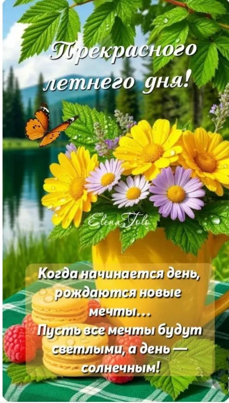 Прекрасного летнего дня! Elena Tolo Когда начинается день, рождаются новые мечты... Пусть все мечты будут светлыми, а день — солнечным!