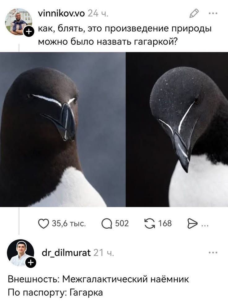 vinnikov.vo 24 ч. как, блять, это произведение природы можно было назвать гагаркой? dr_dilmurat 21 ч. Внешность: Межгалактический наёмник По паспорту: Гагарка