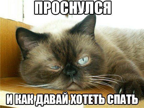 ПРОСНУЛСЯ И КАК ДАВАЙ ХОТЕТЬ СПАТЬ