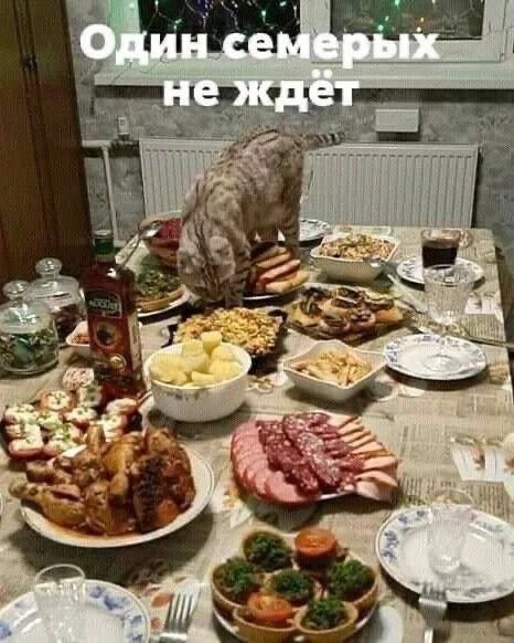Один семерых не ждёт. Кот стоит на праздничном столе, полном еды, и собирается есть, не дожидаясь остальных.