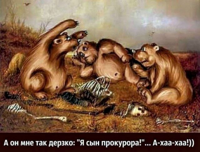 А он мне так дерзко: 