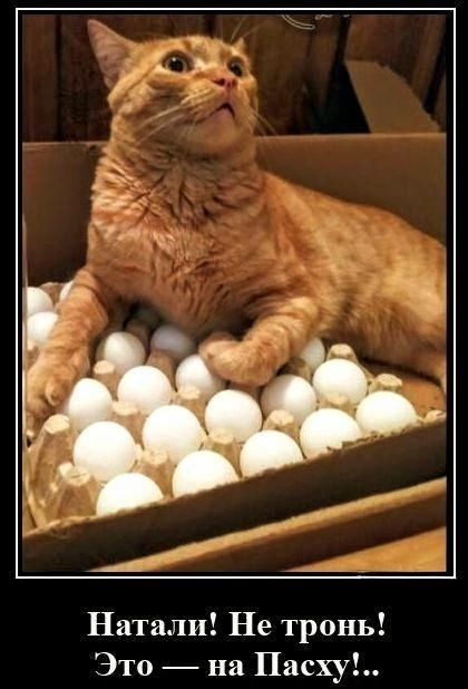 Натали! Не тронь! Это — на Пасху!...