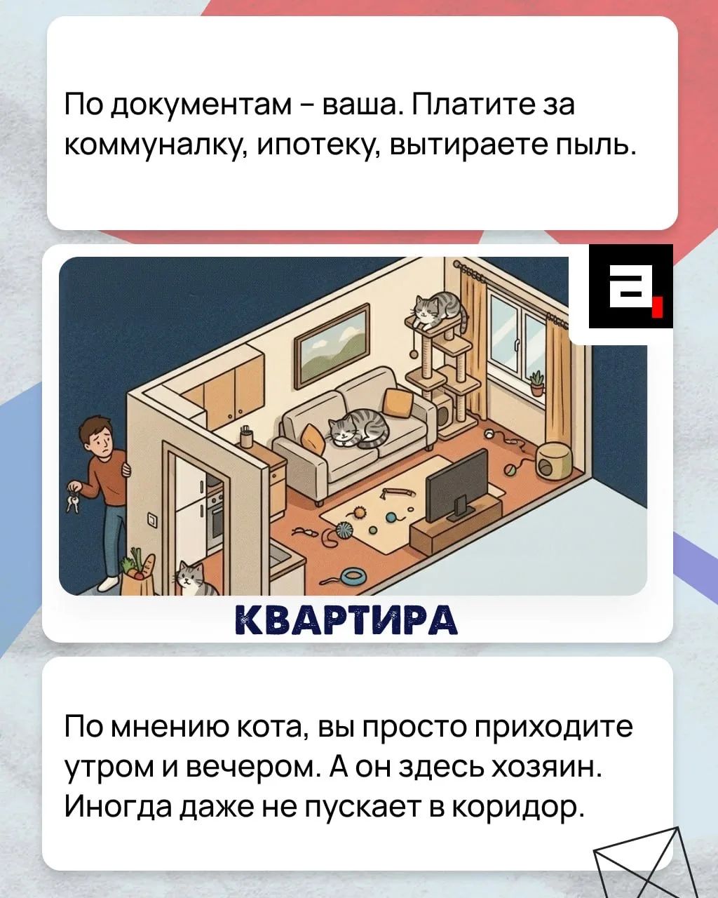 По документам – ваша. Платите за коммуналку, ипотеку, вытираете пыль. КВАРТИРА По мнению кота, вы просто приходите утром и вечером. А он здесь хозяин. Иногда даже не пускает в коридор.