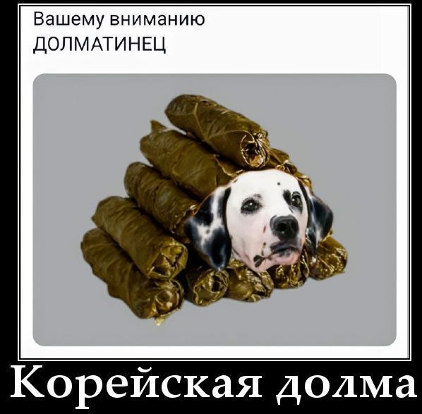 Вашему вниманию долматинец Корейская долма