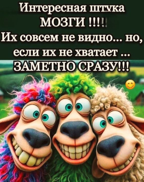 Интересная штука МОЗГИ !!!!! Их совсем не видно... но, если их не хватает ... ЗАМЕТНО СРАЗУ!!!