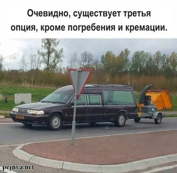 Очевидно, существует третья опция, кроме погребения и кремации.