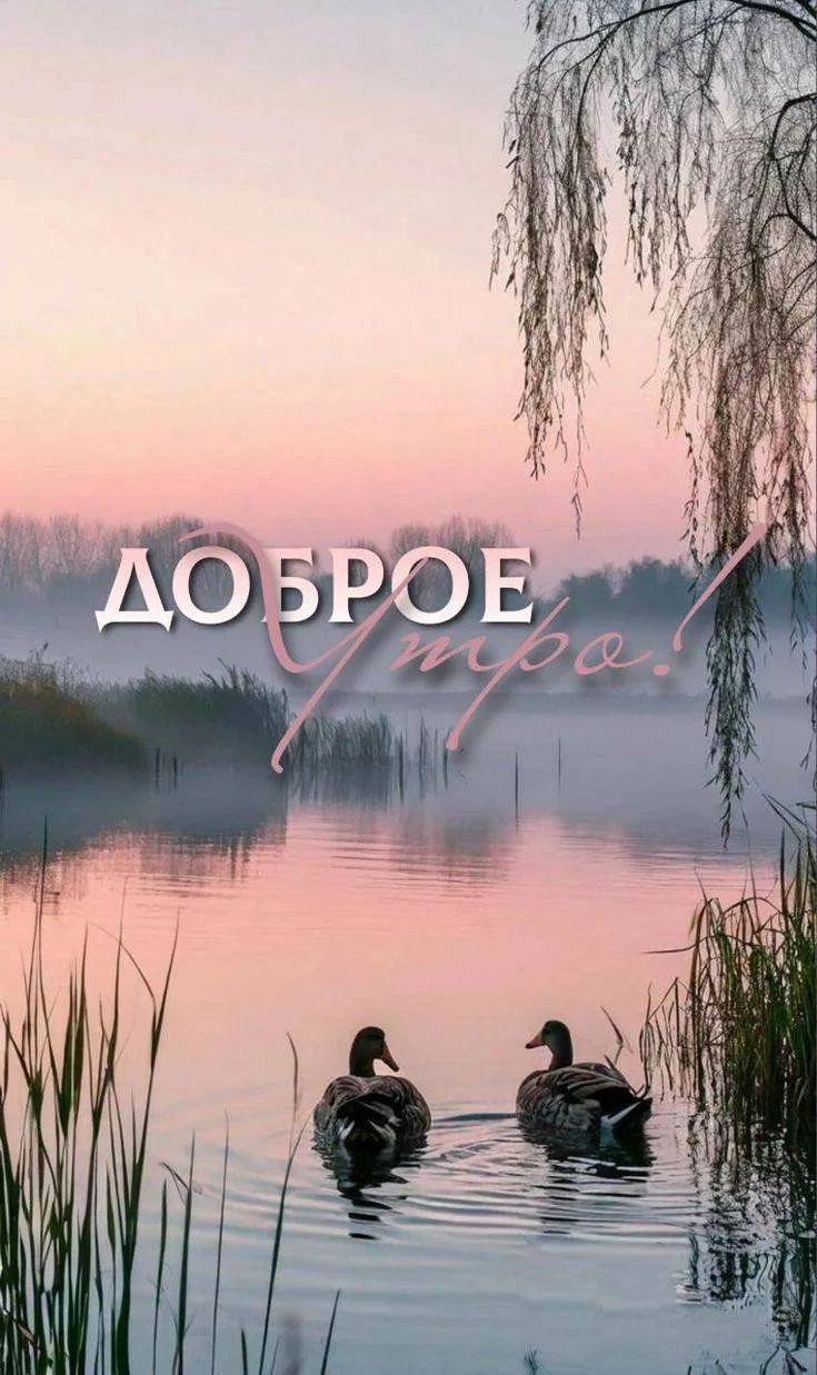 ДОБРОЕ Утро!