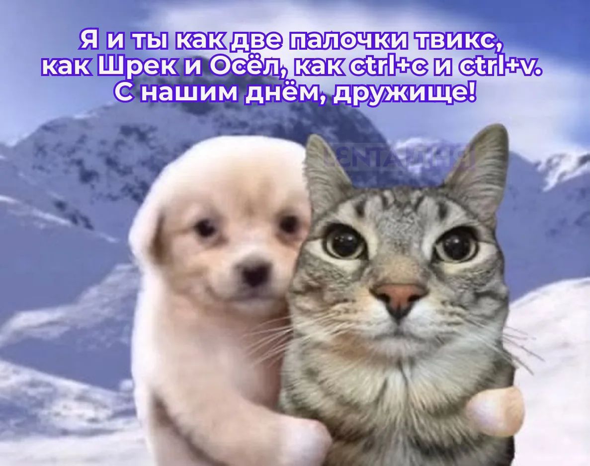 Я и ты как две палочки твикс, как Шрек и Осёл, как ctrl+c и ctrl+v. С нашим днём, дружище!