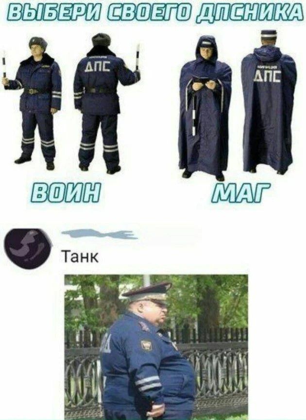 ВЫБЕРИ СВОЕГО ДПСНИКА ВОИН МАГ ТАНК