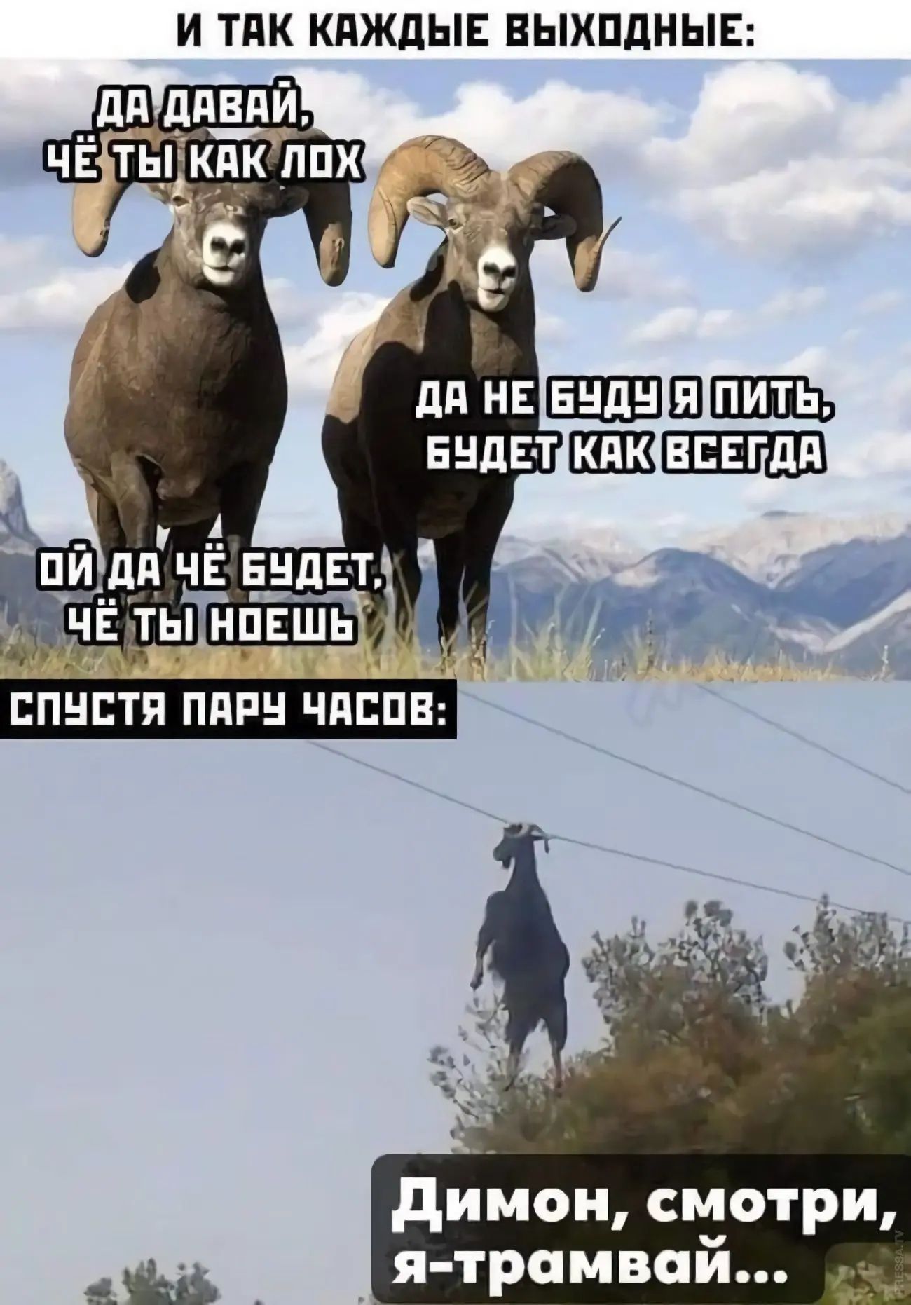 И ТАК КАЖДЫЕ ВЫХОДНЫЕ: ДА ДАВАЙ, ЧЁ ТЫ КАК ЛОХ ДА НЕ БУДУ Я ПИТЬ, БУДЕТ КАК ВСЕГДА ОЙ ДА ЧЁ БУДЕТ, ЧЁ ТЫ НОЕШЬ СПУСТЯ ПАРУ ЧАСОВ: Димон, смотри, я-трамвай...