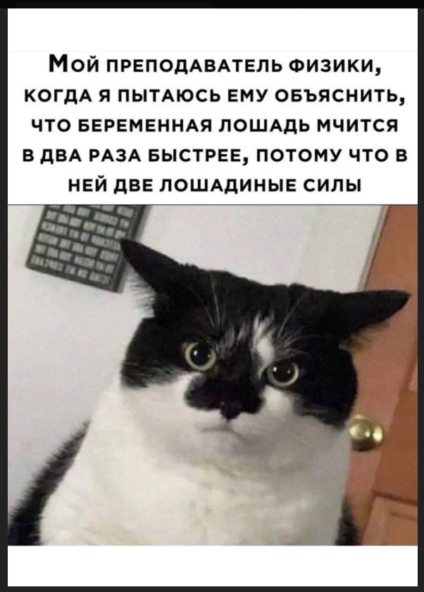 Мой преподаватель физики, когда я пытаюсь ему объяснить, что беременная лошадь мчится в два раза быстрее, потому что в ней две лошадиные силы