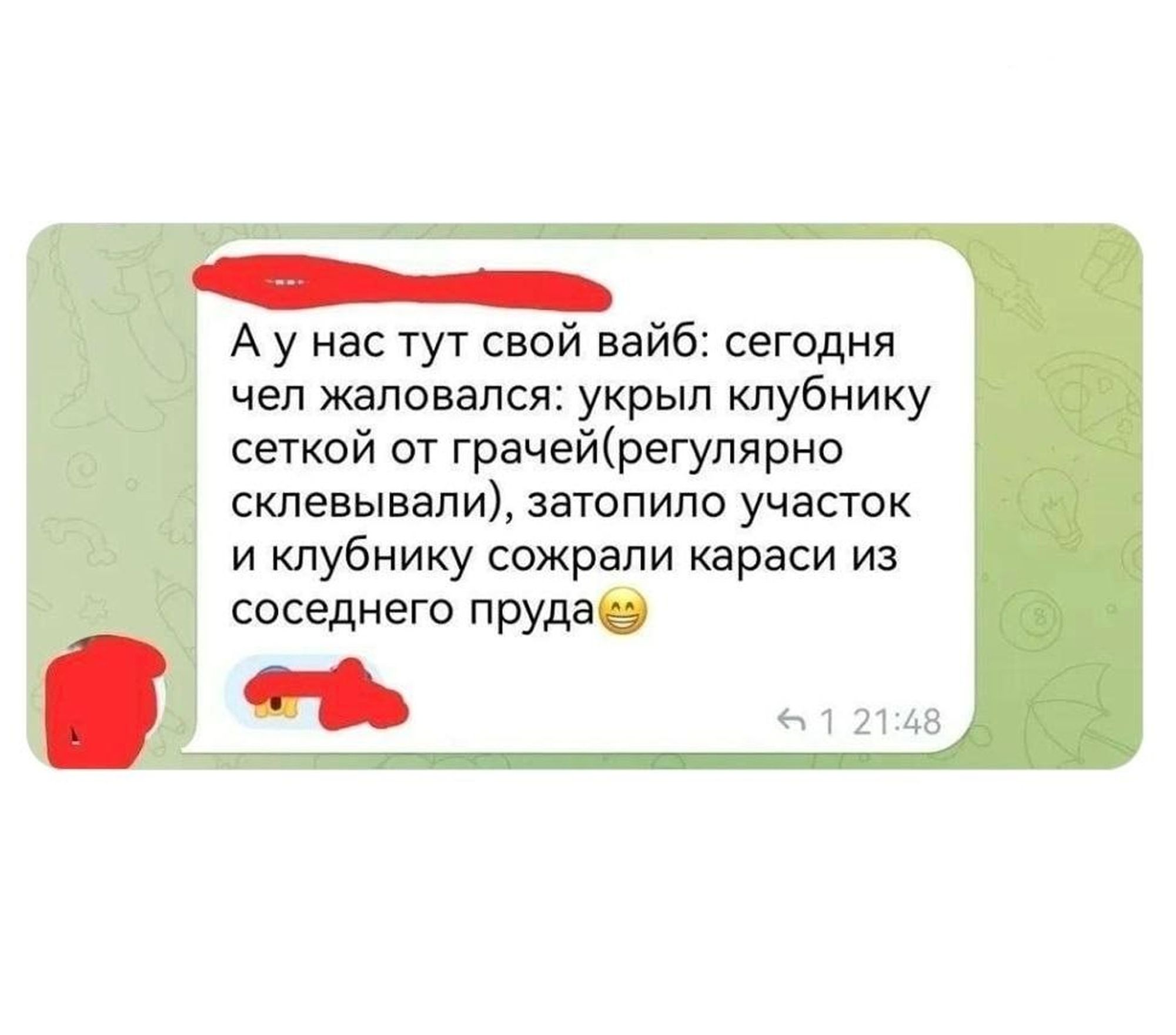 А у нас тут свой вайб: сегодня чел жаловался: укрыл клубнику сеткой от грачей(регулярно склевывали), затопило участок и клубнику сожрали караси из соседнего пруда