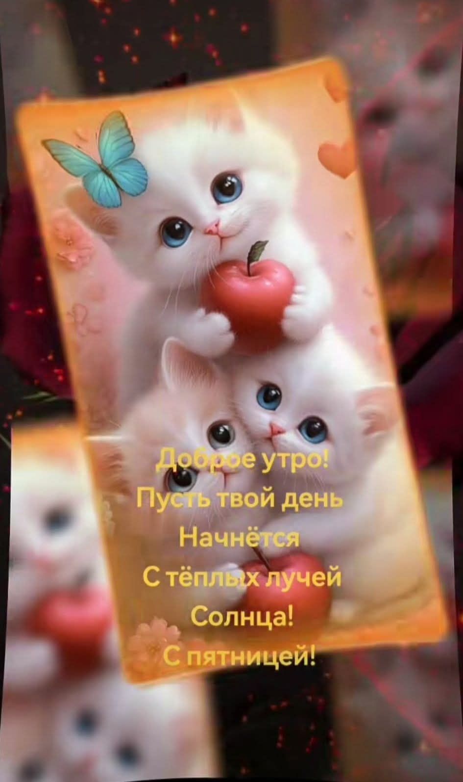 Доброе утро! Пусть твой день Начнётся С тёплых лучей Солнца! С пятницей!
