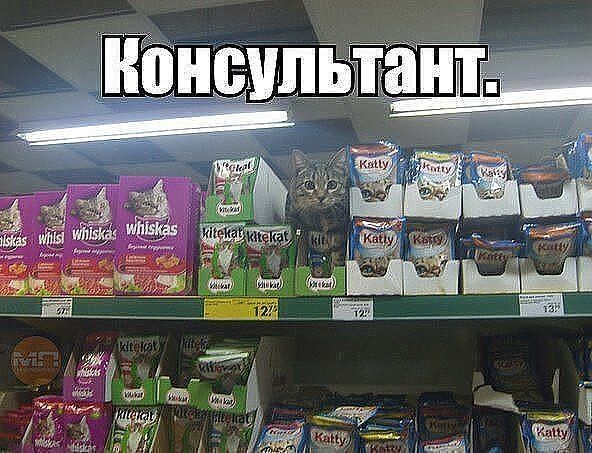 Консультант.