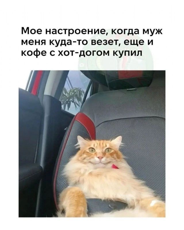 Мое настроение, когда муж меня куда-то везёт, еще и кофе с хот-догом купил
