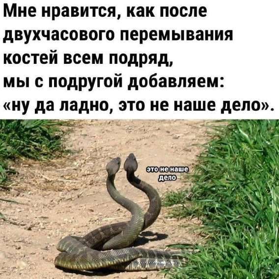 Мне нравится, как после двухчасового перемывания костей всем подряд, мы с подругой добавляем: «ну да ладно, это не наше дело». это не наше дело