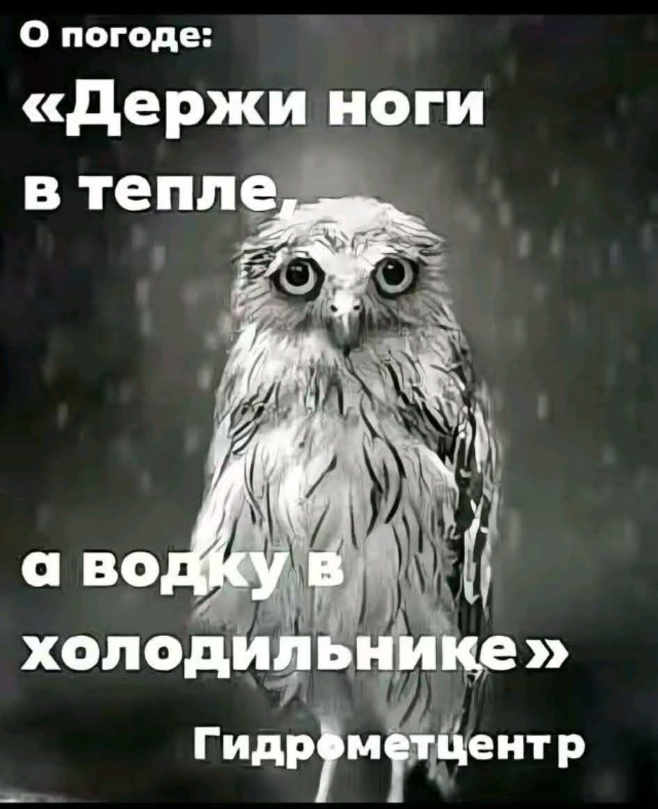 О погоде: «Держи ноги в тепле, а водку в холодильнике» Гидрометцентр