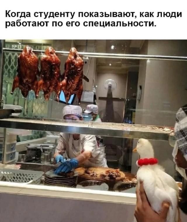 Когда студенту показывают, как люди работают по его специальности.