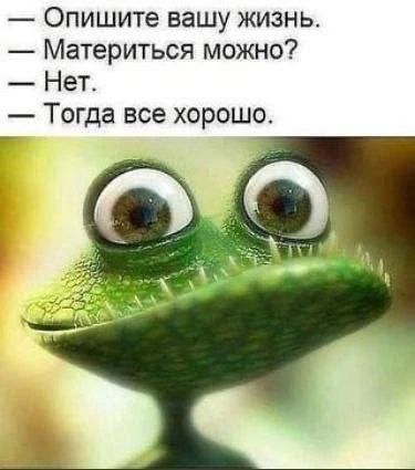 Опишите вашу жизнь.
Материться можно?
Нет.
Тогда все хорошо.